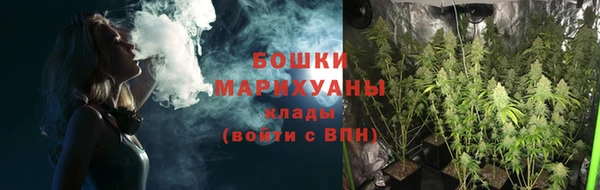 ПСИЛОЦИБИНОВЫЕ ГРИБЫ Михайлов