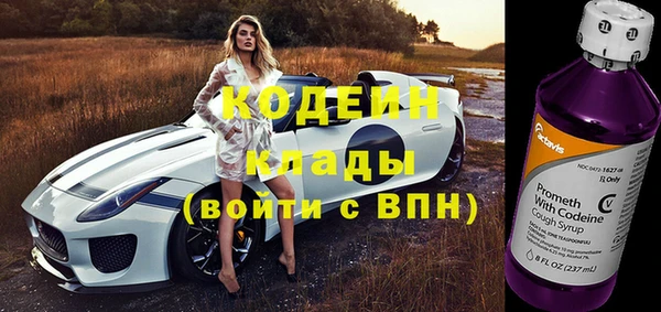 ПСИЛОЦИБИНОВЫЕ ГРИБЫ Михайлов