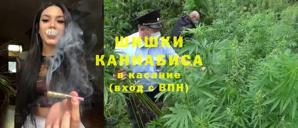 ПСИЛОЦИБИНОВЫЕ ГРИБЫ Михайлов