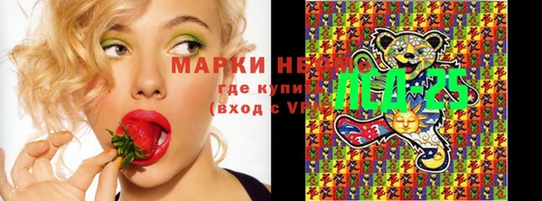 ПСИЛОЦИБИНОВЫЕ ГРИБЫ Михайлов