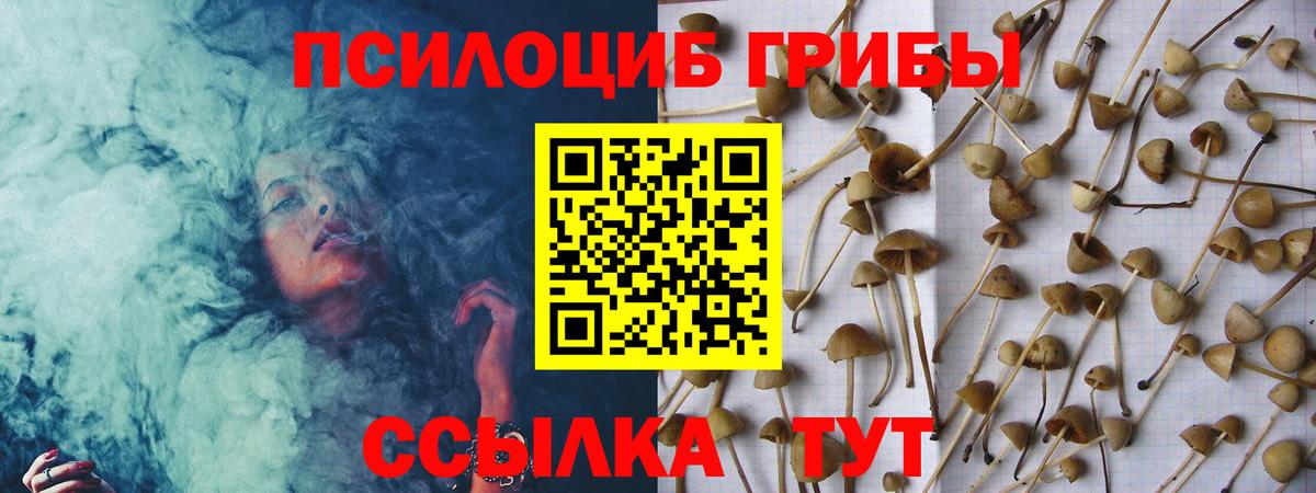 Галлюциногенные грибы MAGIC MUSHROOMS Зеленодольск