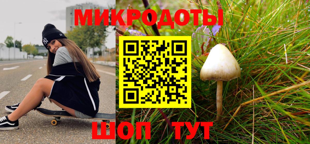 Галлюциногенные грибы Psilocybe  Вход с VPN  Зеленодольск  Галлюциногенные грибы мухоморы 